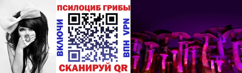 хочу наркоту  Полярный  Псилоцибиновые грибы мухоморы 